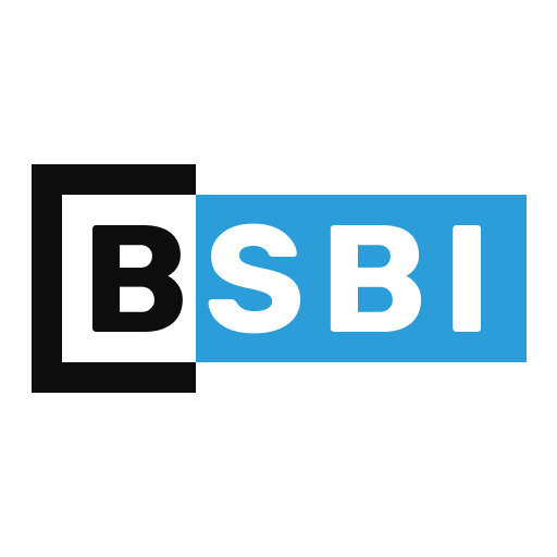 Berlin School of Business & Innovation logo